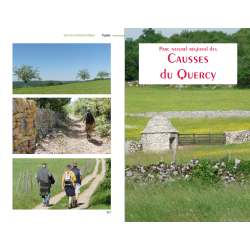 Compostelle Visite Guidée Tome 2 : Conques à Cahors - guide de tourisme culturel