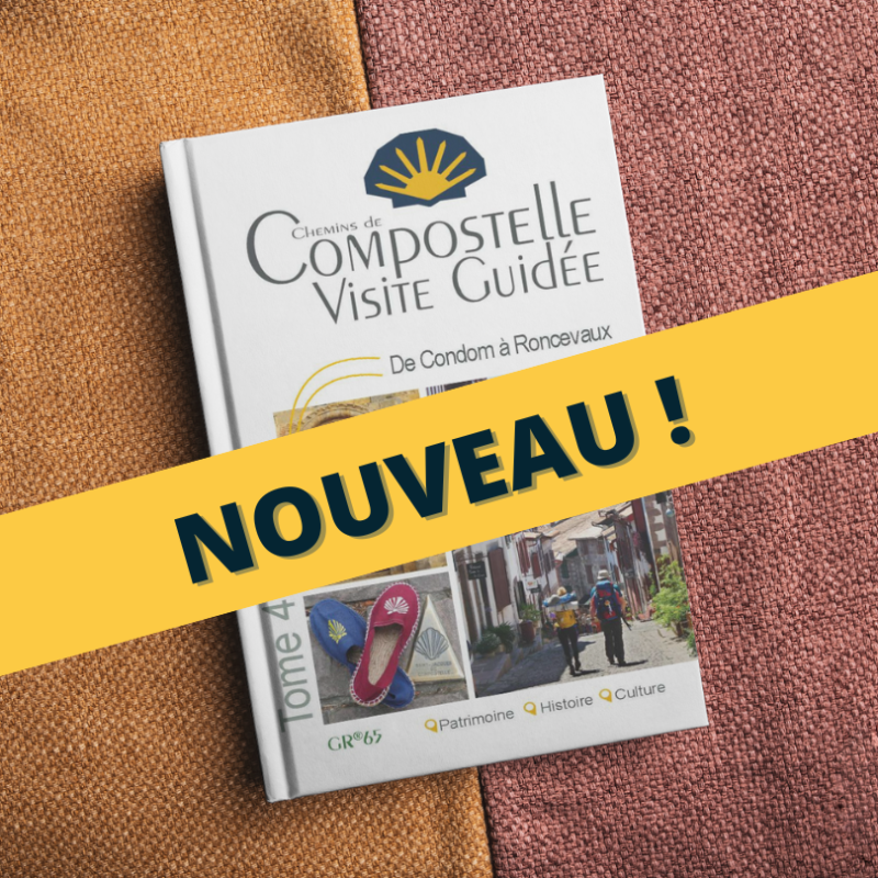Compostelle Visite Guidée Tome 4 : Condom à Roncevaux - guide de tourisme culturel